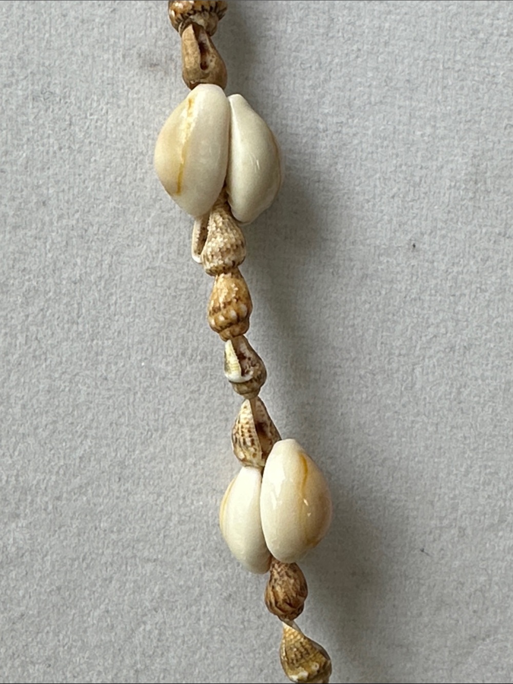 Cowrie Shell Necklace - Picture 4 of 5
